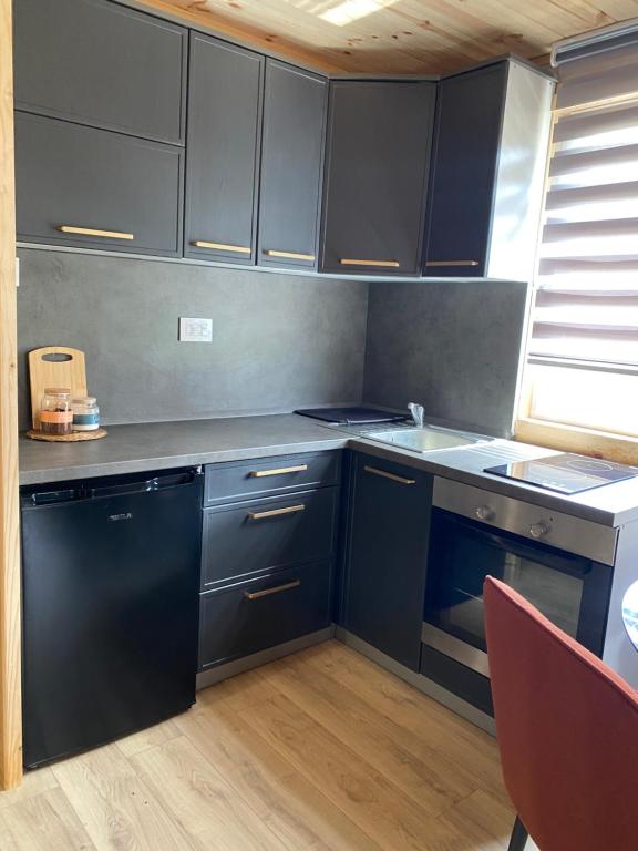Kuchyň nebo kuchyňský kout v ubytování Tiny house Neny Fruška gora
