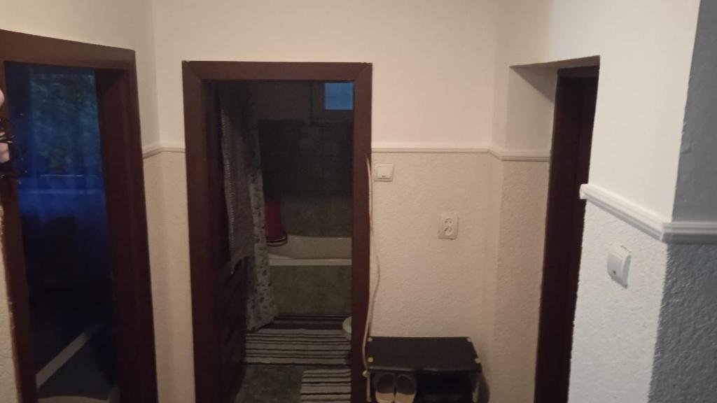 een hal met een deur naar een badkamer bij Apartament Ștefania in Orşova