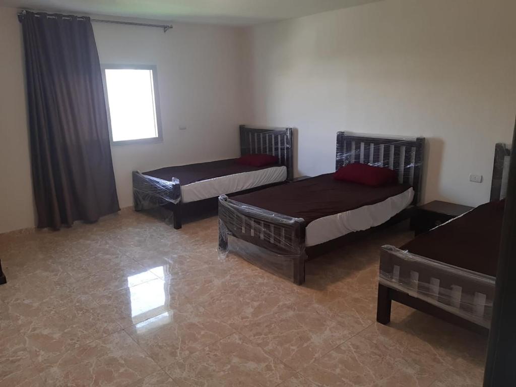 Zimmer mit 3 Betten und einem Fenster in der Unterkunft شاليه الساحل الشمالي in Dawwār Shindī Fannūsh