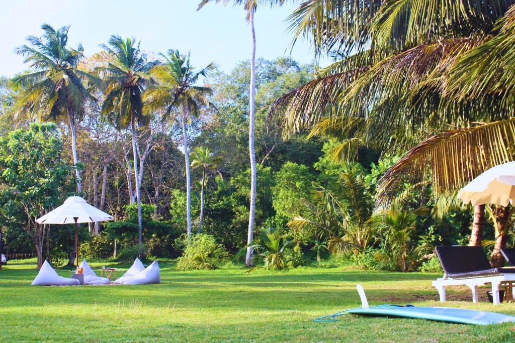 a lawn with chairs and umbrellas and palm trees at Calma - Surf, Yoga & Coffee on a Private Beach in Dickwella