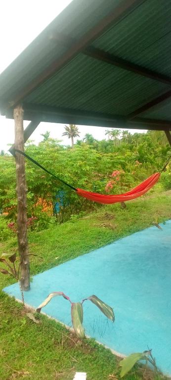 Bazén v ubytování pulau weh sabang Coco jungle nebo v jeho okolí