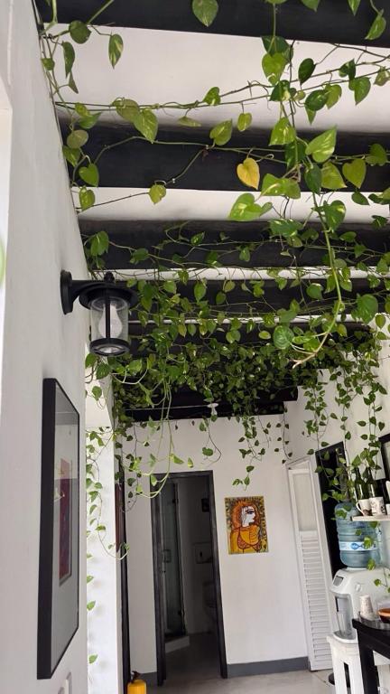 Foto sihtkohas Santa Marta asuva majutusasutuse Casa Ines galeriist