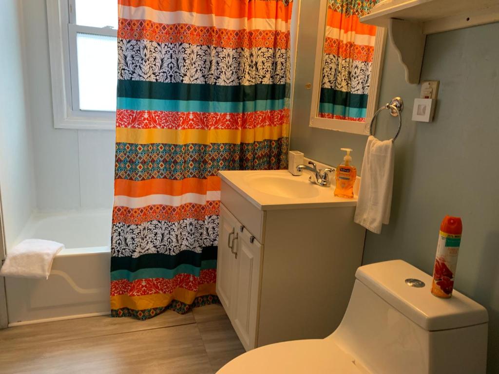 y baño con cortina de ducha colorida y aseo. en Cozy 2nd Floor Apartment With Private Entrance en Chicopee