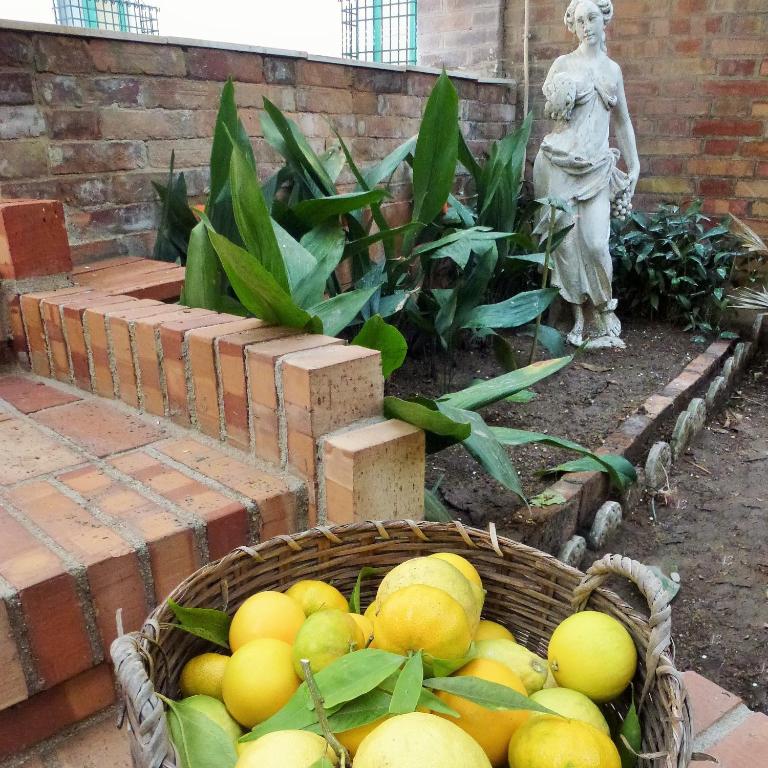 Ogród w obiekcie OS Garden - Maison de Charme