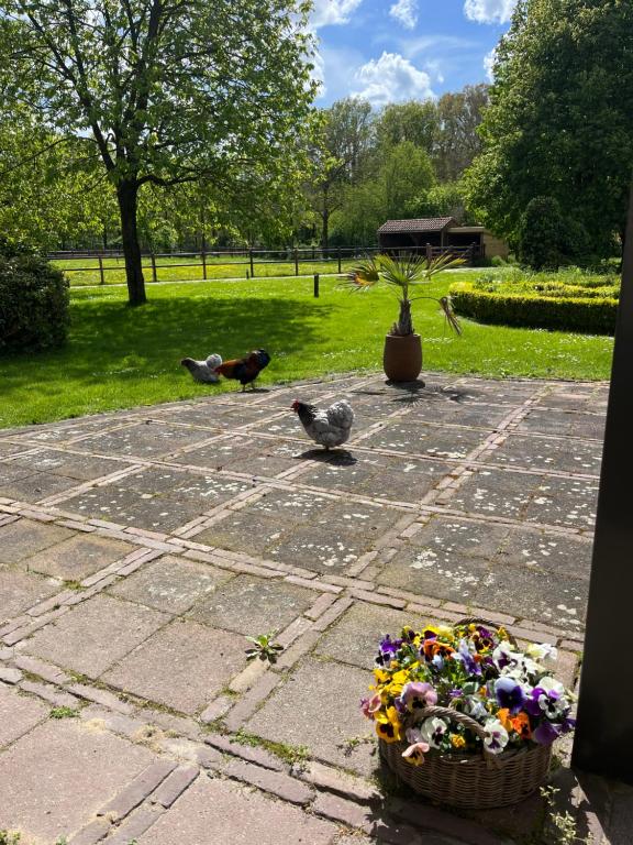 Een tuin van Horse and Hound