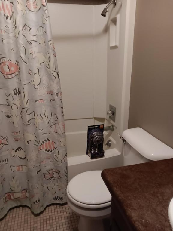 ein Bad mit einem WC und einem Duschvorhang in der Unterkunft Small, Rural Getaway in Grafton