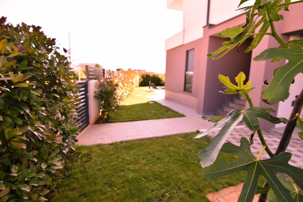 Vonkajšia záhrada v ubytovaní Luxury apartment Punta with sea view and swimming pool