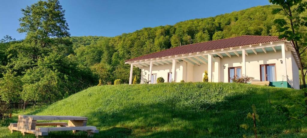 ein Haus auf einem Hügel mit einer Bank davor in der Unterkunft Cristelyn Residence in Predeluţ