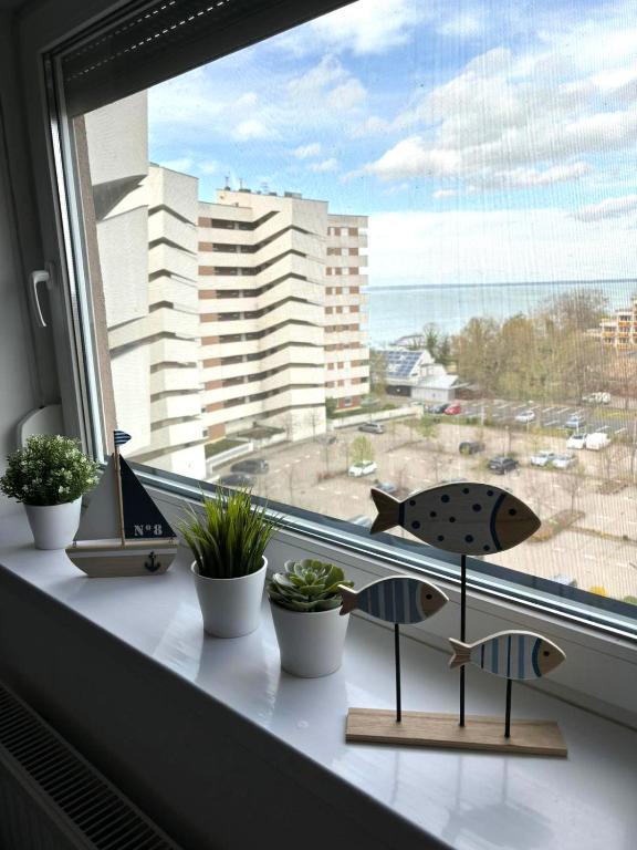 Nespecifikovaný výhled na moře nebo výhled na moře při pohledu z apartmánu