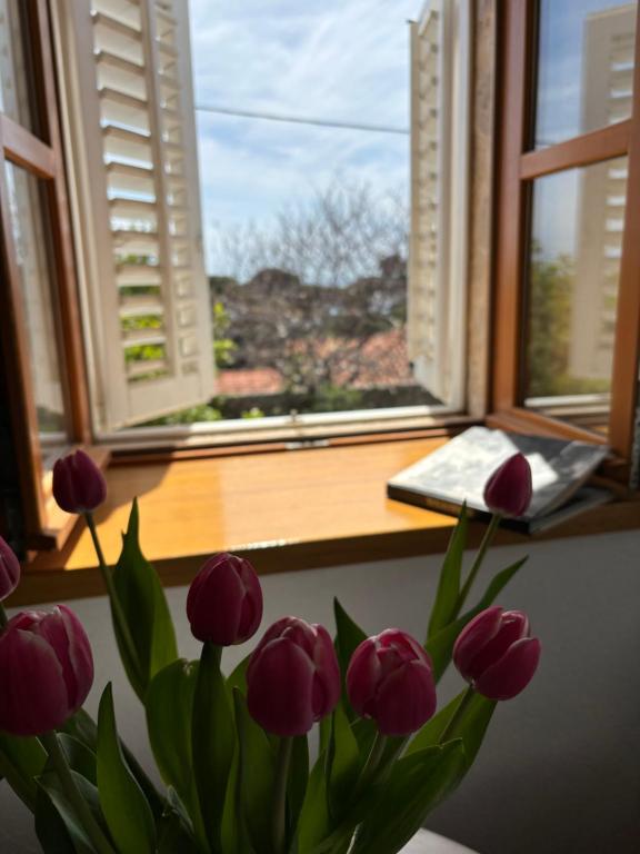 Villa Anica Dubrovnik - luxurious with a sea view - 16