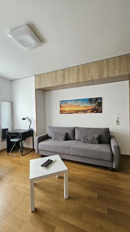 Porodicno-poslovni udoban stan - One-Bedroom Apartment