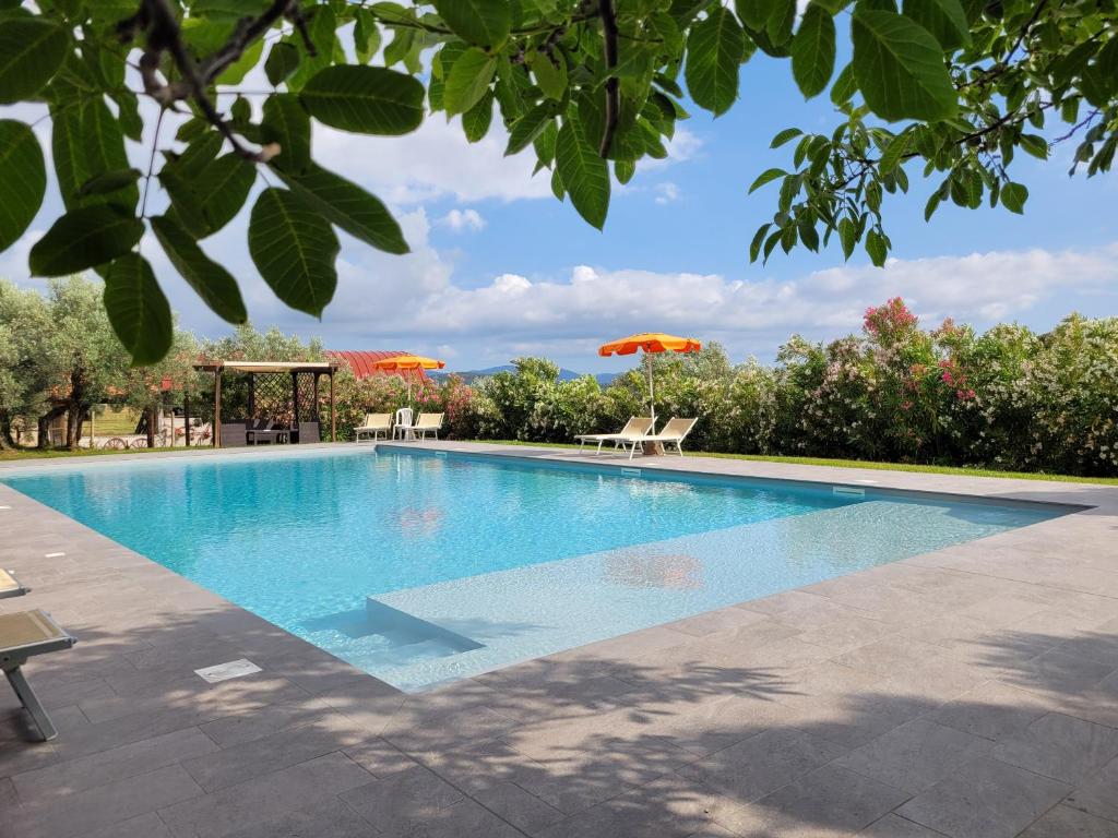 una piscina en un patio con sombrillas en Agriturismo Tesorino, en Massa Marittima