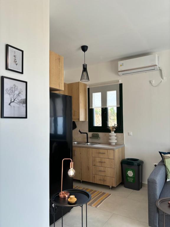 Kuchyň nebo kuchyňský kout v ubytování Anemar Lefkada