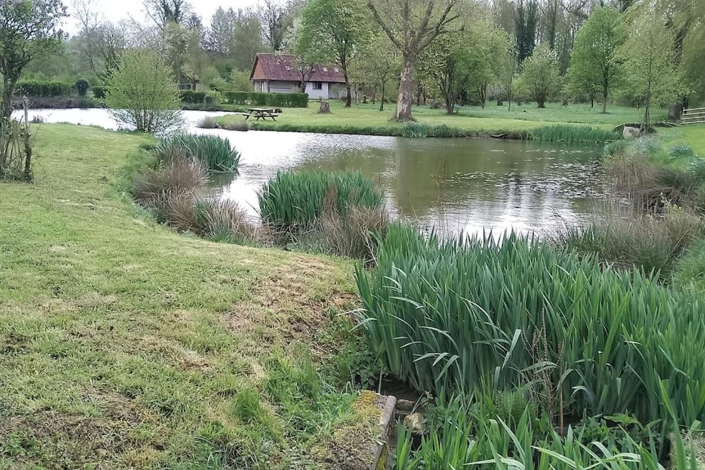 un étang dans un parc avec une maison en arrière-plan dans l'établissement Gîte à la campagne avec étang de pêche, à Amplier