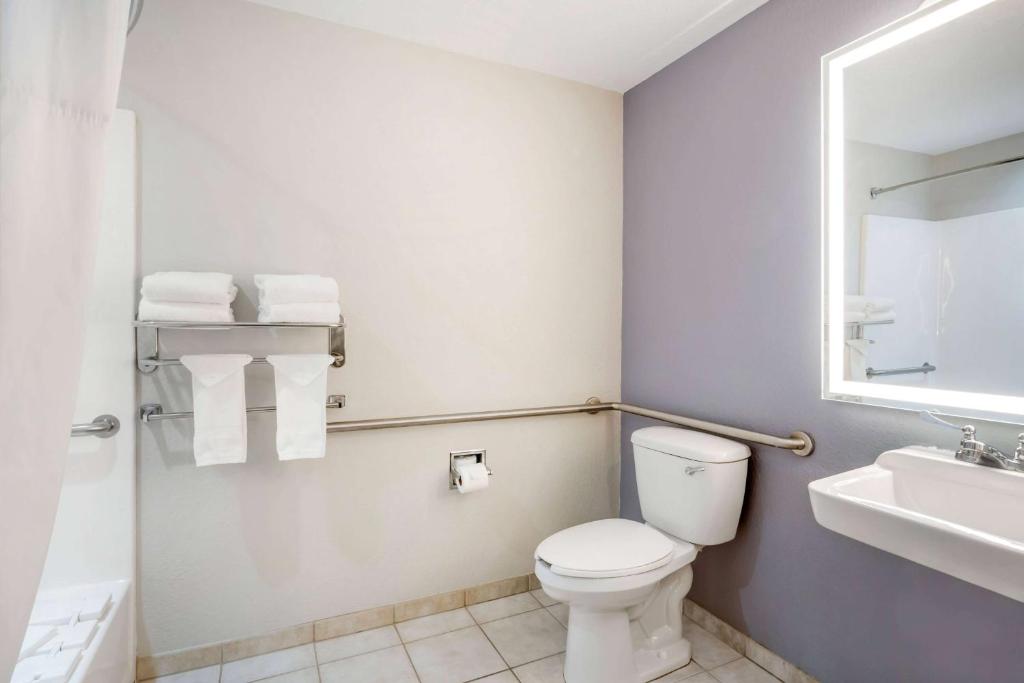 a bathroom with a toilet and a sink and a mirror at Microtel Inn & Suites by Wyndham Brooksville in Ridge Manor