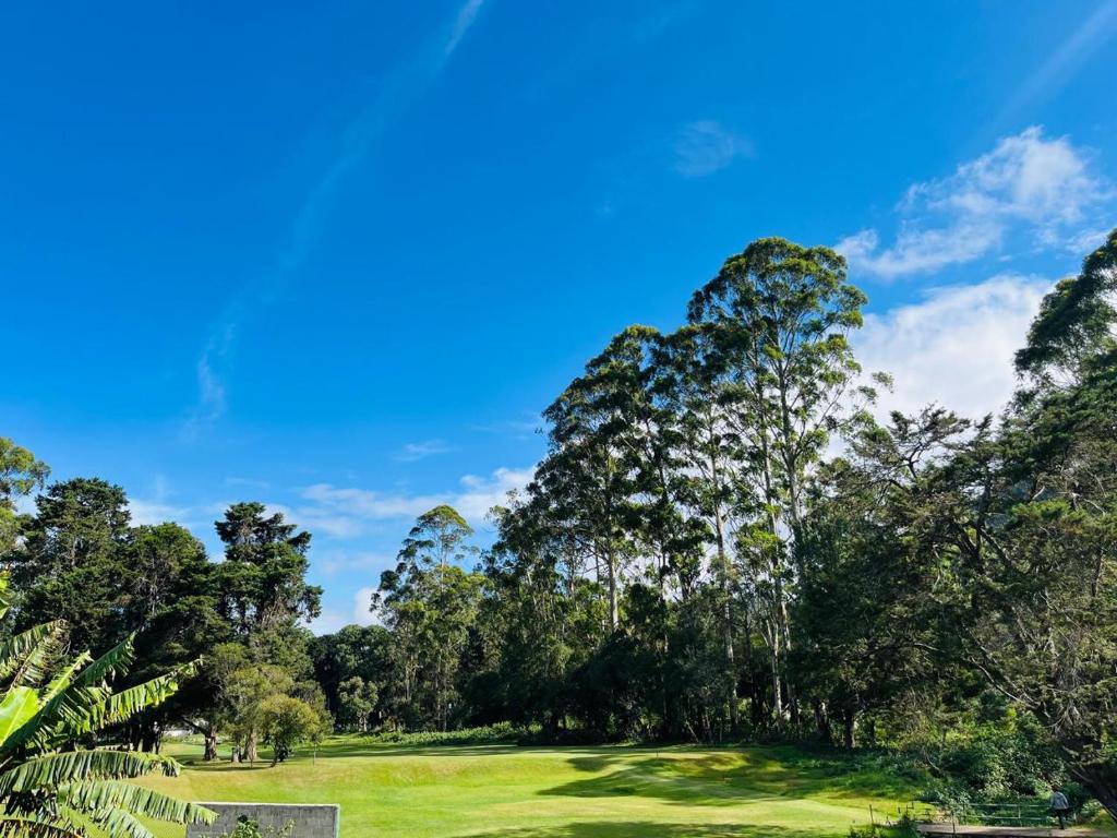 Φυσικό τοπίο κοντά σε αυτό το διαμέρισμα