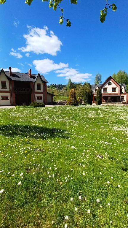 a field of green grass with white flowers in front of a house at Vāgnera parks in Tukums