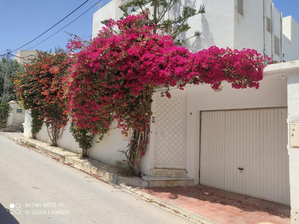 a bunch of pink flowers on the side of a building at Villa avec j'ardin in Ariana