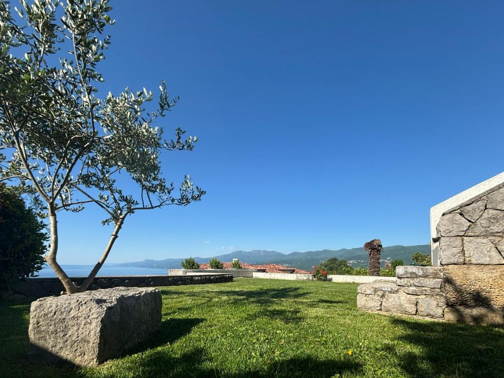 un albero che cresce da una roccia in un campo di Va Kastav a Kastav (Castua)