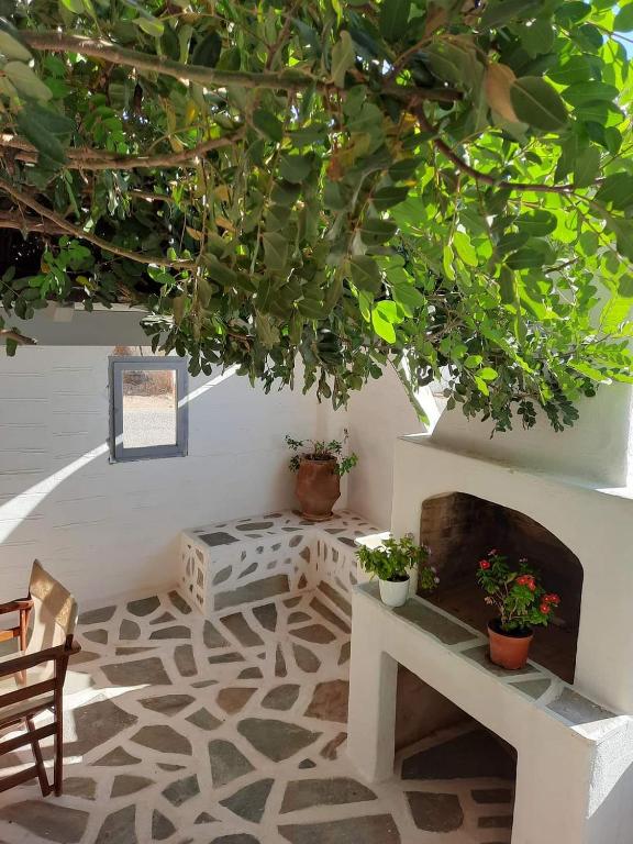 Zahrada ubytování Anixis Studios Aliki Paros