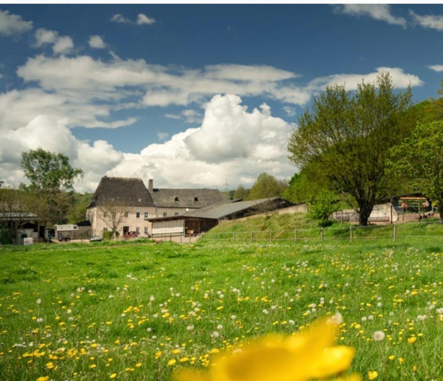 a field of flowers with a house in the background at Zimmer auf dem Scheuerhof in Wittlich