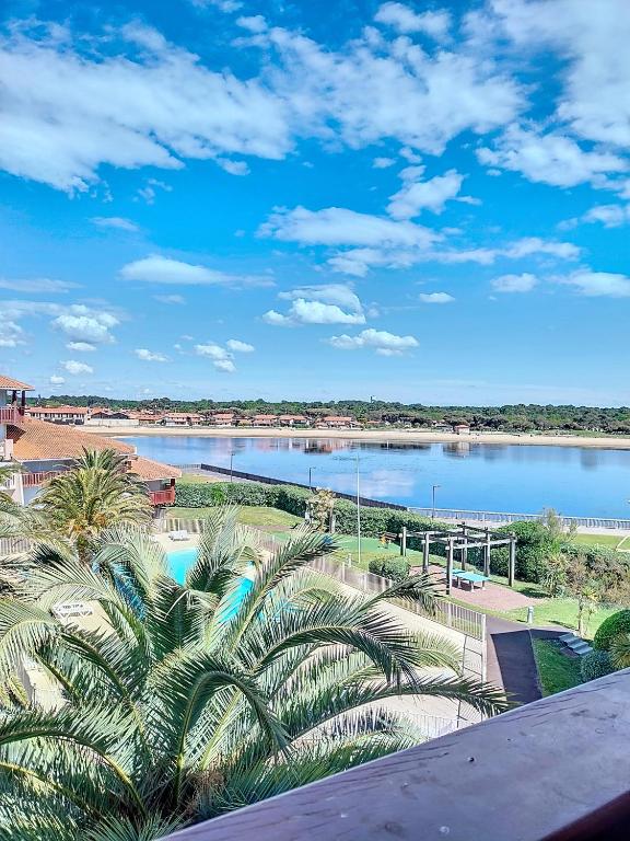 - une vue sur une étendue d'eau bordée de palmiers dans l'établissement V-Marin 02-Vieux Boucau Appartement 2 chambres avec vue sur le lac marin dans résidence avec piscine, à Vieux-Boucau-les-Bains