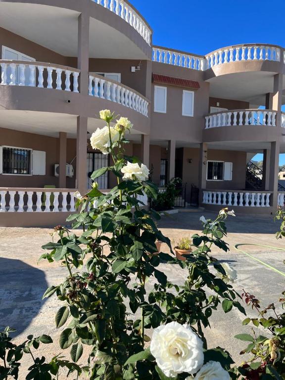 a bush with white roses in front of a building at Entre Mer et Montagne in Tabarka