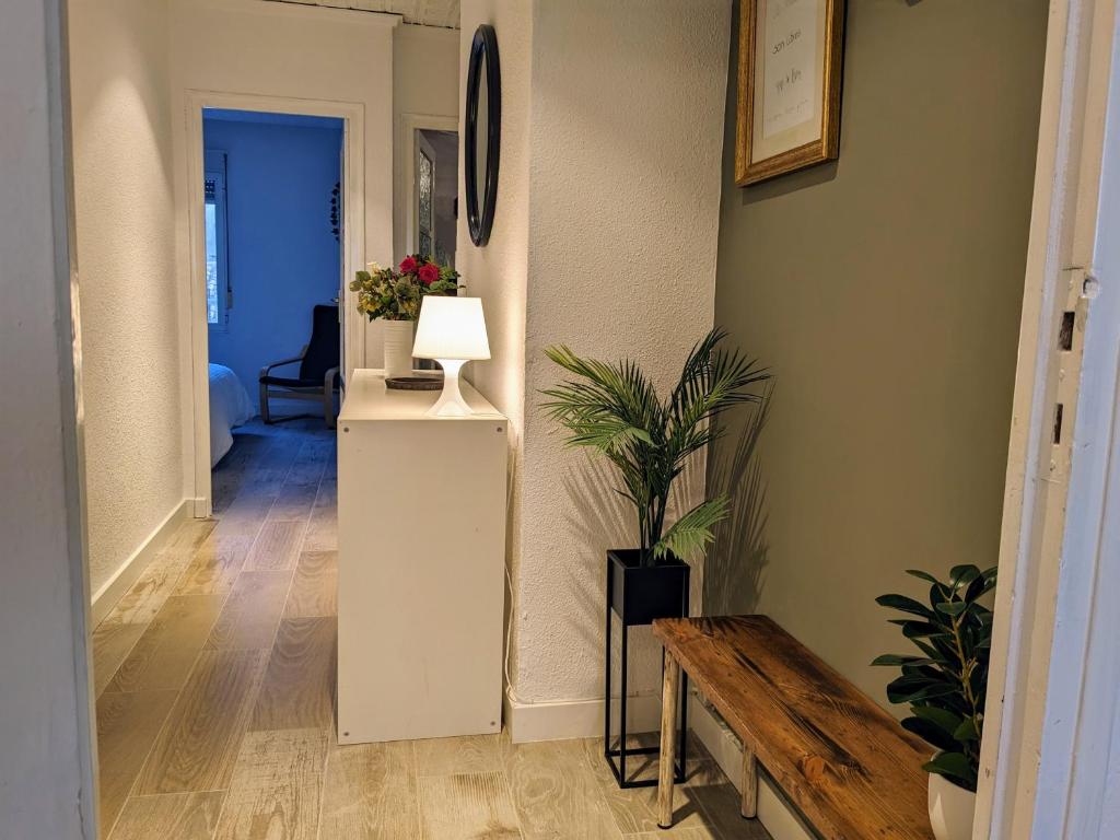 um corredor com uma mesa e um vaso de plantas em Apartamentos Vernia Ontinyent em Ontinyent