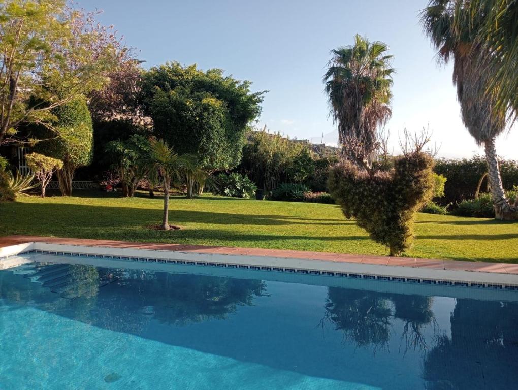 a swimming pool in a yard with palm trees at Villa Carioca - with private pool, marvelous garden and amazing ocean view in Sauzal