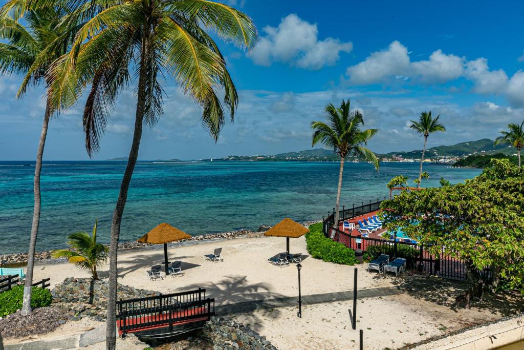 een strand met palmbomen en de oceaan bij Another Beautiful Day In Paradise in Christiansted