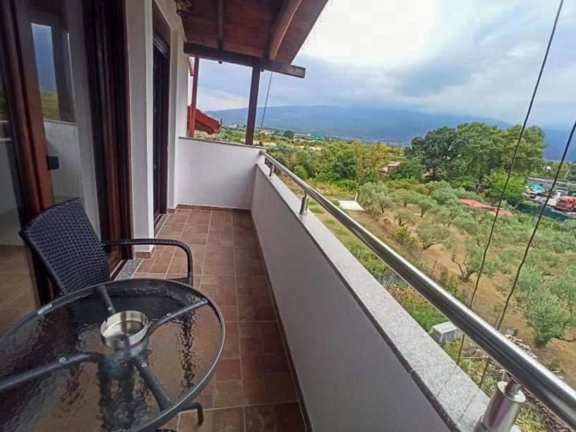 Příroda nedaleko apartmánu