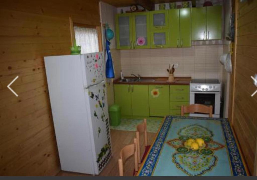 Cottage Dolovi في نيكشيتش: مطبخ مع دواليب خضراء وطاولة وثلاجة