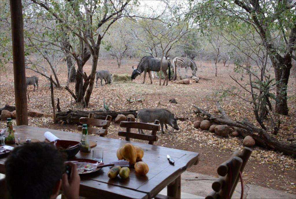 a table with zebras and other animals in a field at Les 3 Marulas in Marloth Park