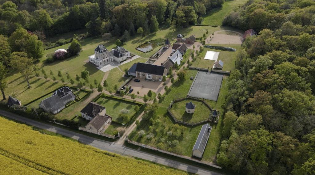 an aerial view of a large house with a yard at Domaine de la Vaudouriere in Lunay