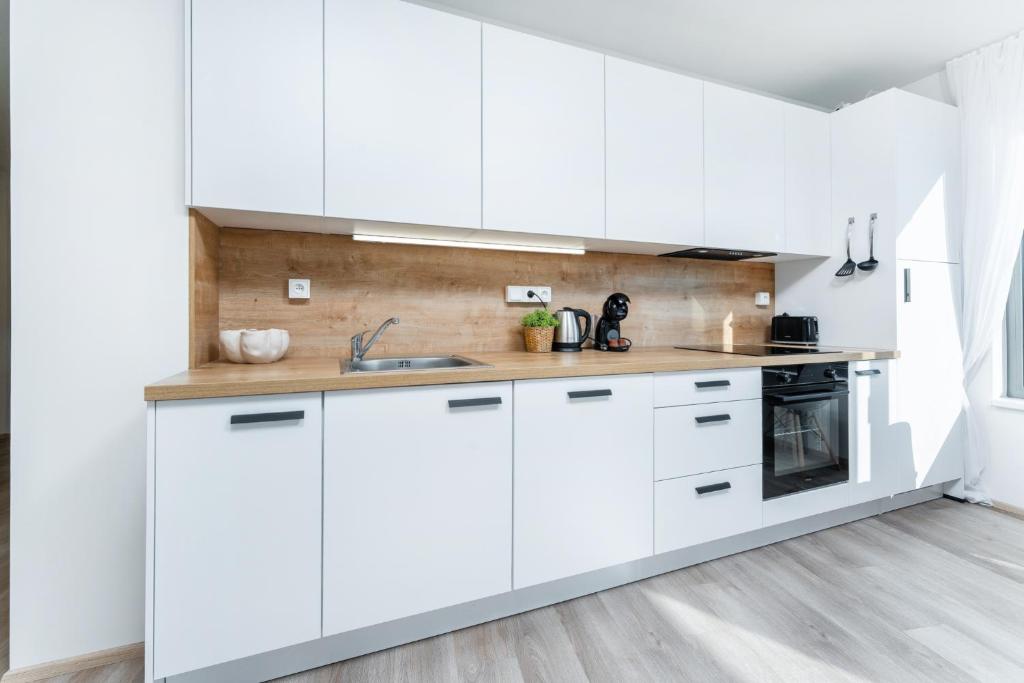 Kuchyň nebo kuchyňský kout v ubytování MyMozart Apartments Prague by Rentero Property