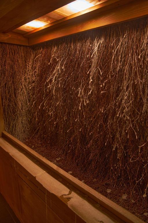 Jastrzębia Port - 11