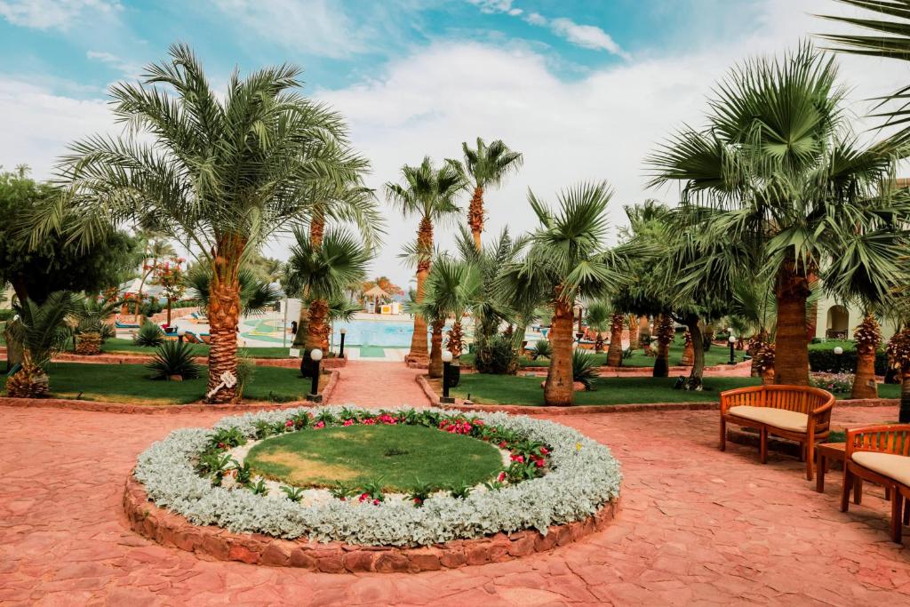 Zahrada ubytování Tropitel Dahab Oasis