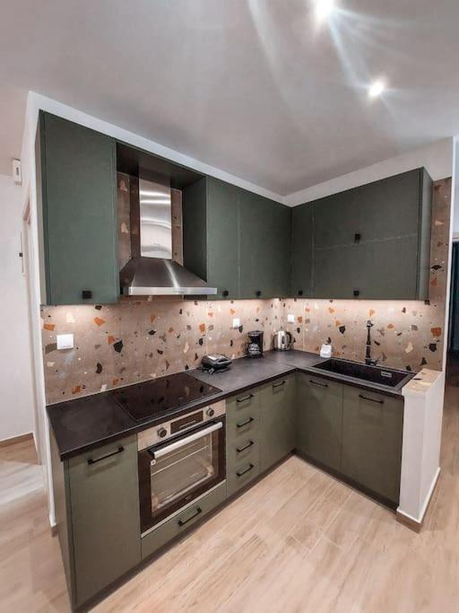 Kuchyň nebo kuchyňský kout v ubytování Iris Apartment Livadeia