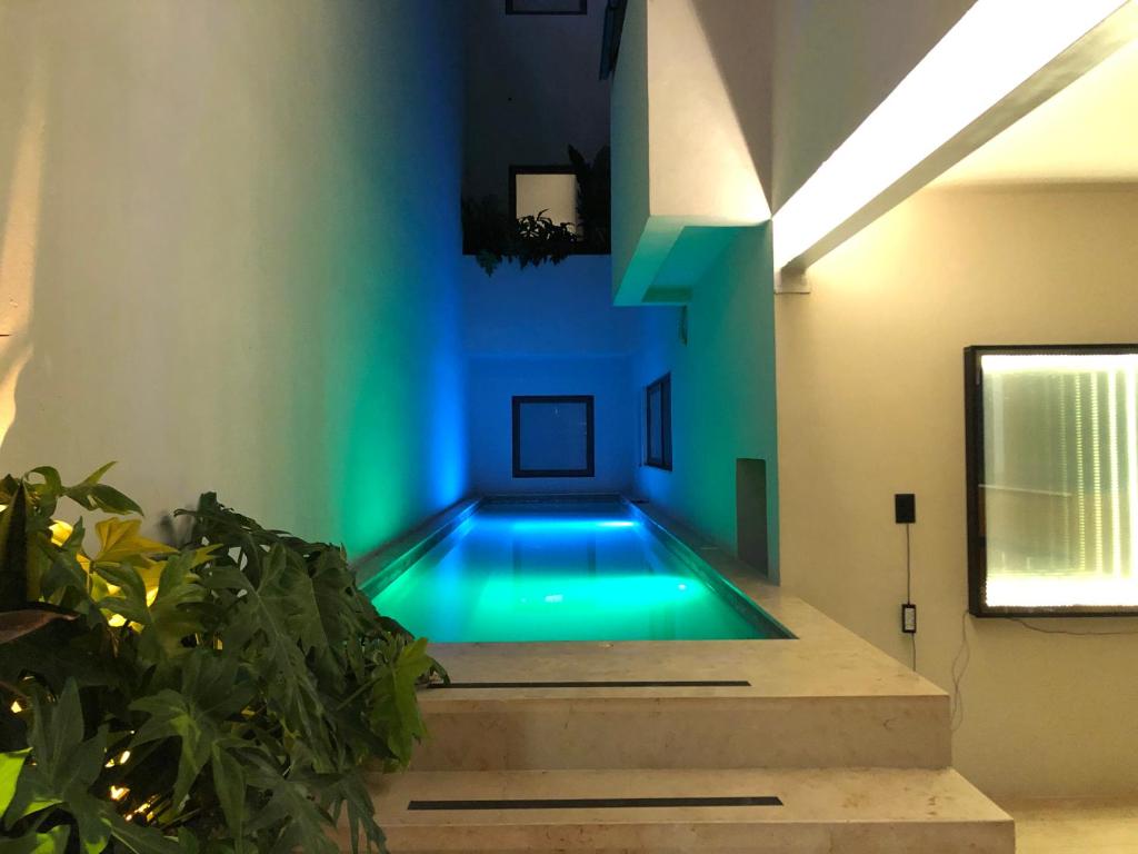 CASA ULA - Cancún - Appartement Met 1 Slaapkamer