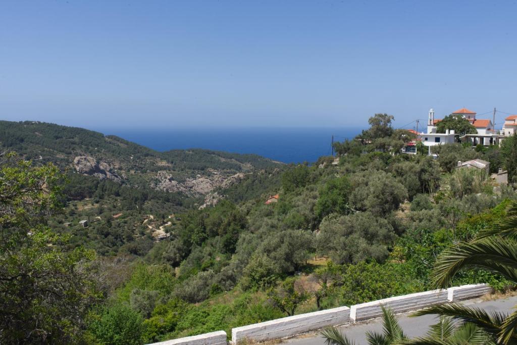 RachesにあるKouklospito Agios Polykarposの丘から海の景色を望む