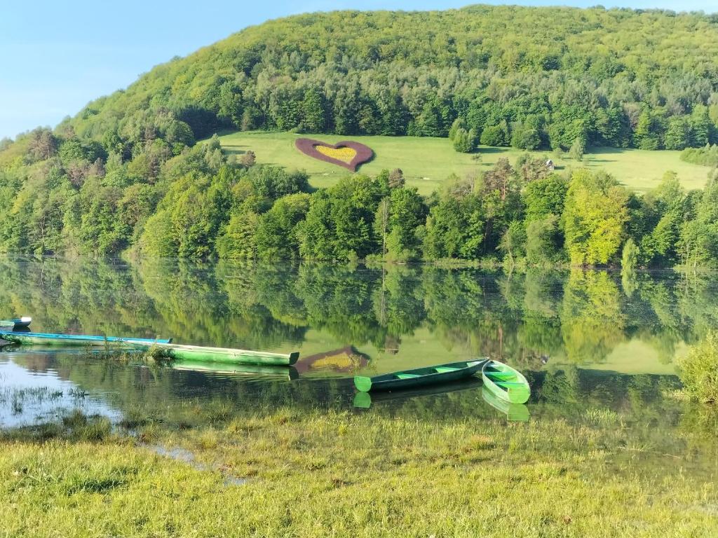 a boat on a lake with a hill in the background at Apartament TARA in Solina