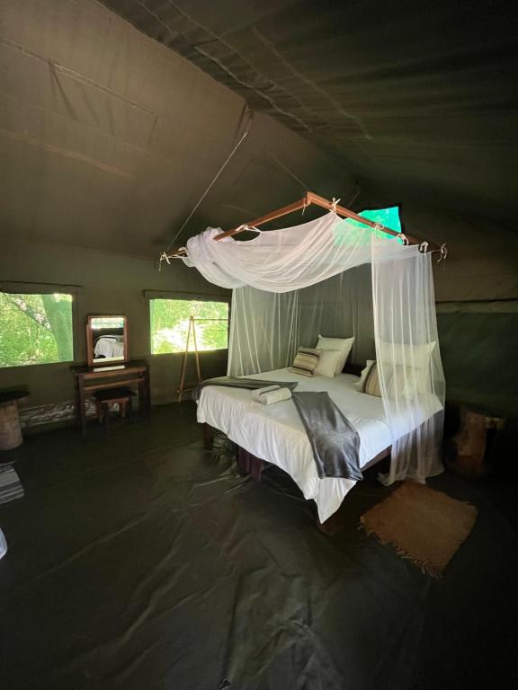 1 dormitorio con cama con dosel en una tienda de campaña en Bua River Lodge 