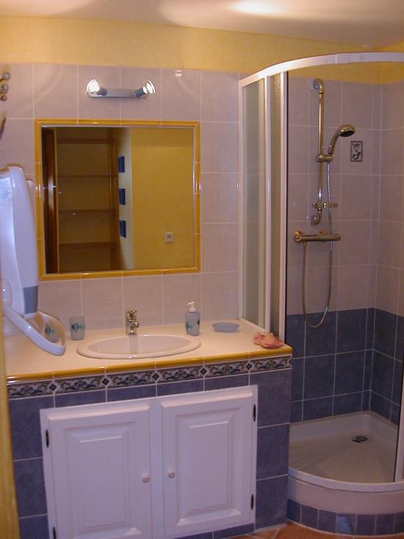 une salle de bain avec un lavabo et une douche avec un miroir dans l'établissement Studio Festival 1, à Avignon