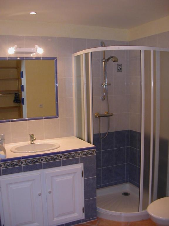 une salle de bain avec un lavabo et une douche avec un miroir dans l'établissement Studio Festival 2, à Avignon