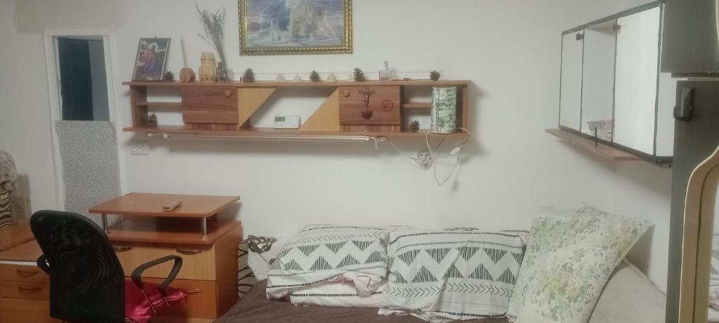 uma sala de estar com um sofá e uma prateleira na parede em Garsoniera Copou em Iaşi