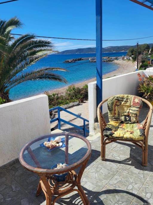 un patio avec une chaise et une table avec un chien dans l'eau dans l'établissement Filomila apartment Agia Foteini, à Chios