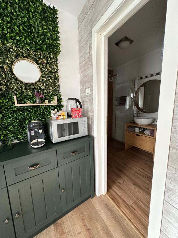 a kitchen with a green wall with a microwave on a counter at Hanul Anei - entire property in Braşov