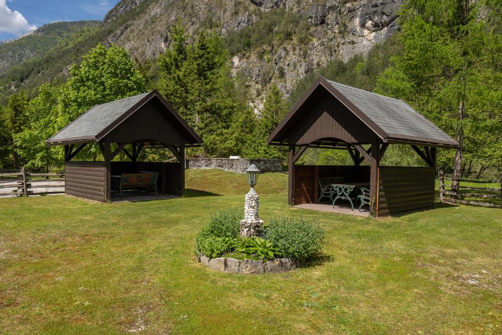 Příroda nedaleko apartmánu
