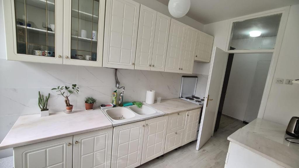 Kuchyň nebo kuchyňský kout v ubytování Apartment Zvezdara