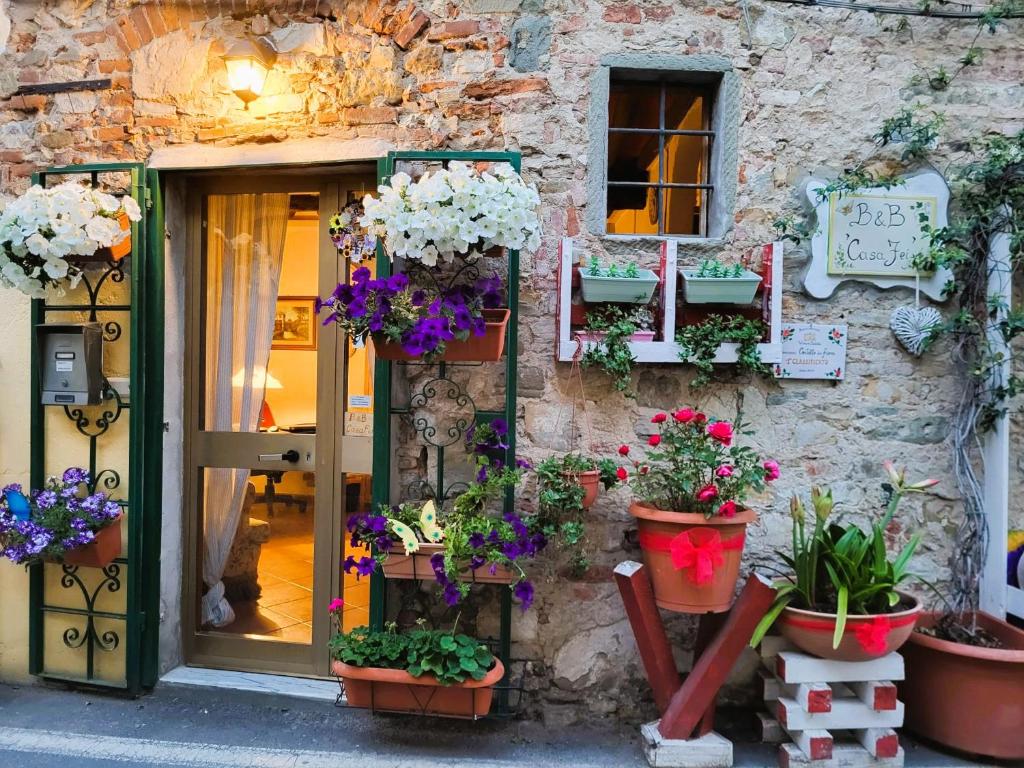 Zahrada ubytování B&B Casa Fei